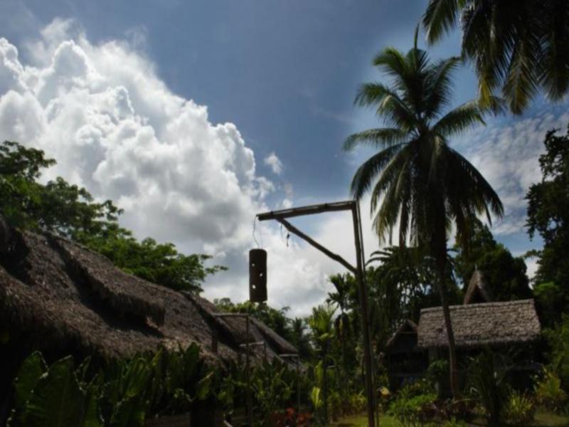 Wild Orchid Resort - Havelock Island Vijay Nagar Beach Exterior photo