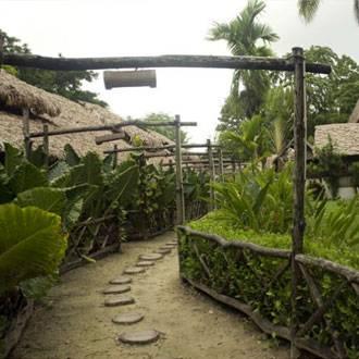 Wild Orchid Resort - Havelock Island Vijay Nagar Beach Exterior photo